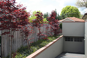 Home Gardens in Canberra