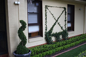 Home Gardens in Canberra