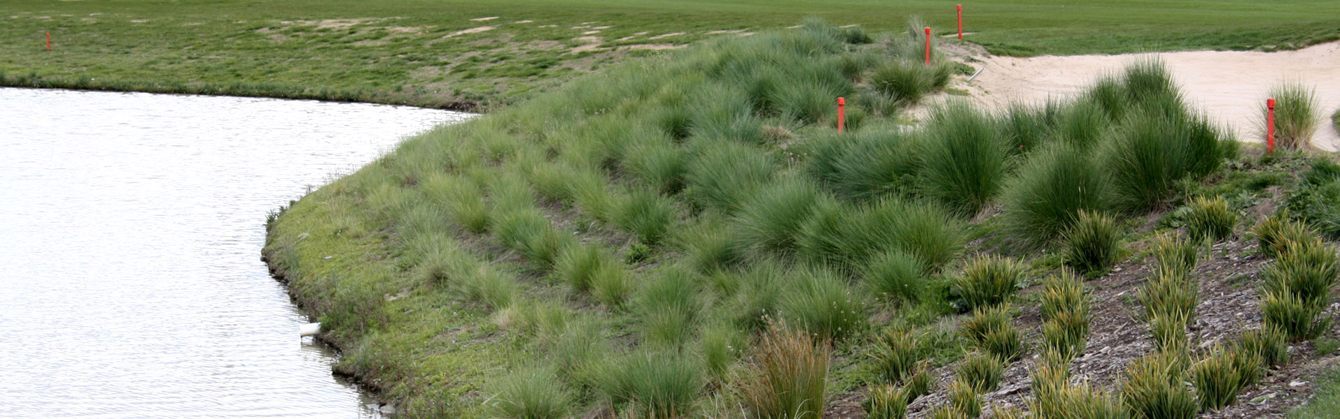 recently planted massed garden bed at Gungahlin Lakes Golf Course